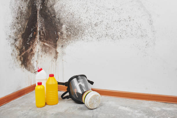 Crawl Space Mold Removal in Atlantic Highlands, NJ