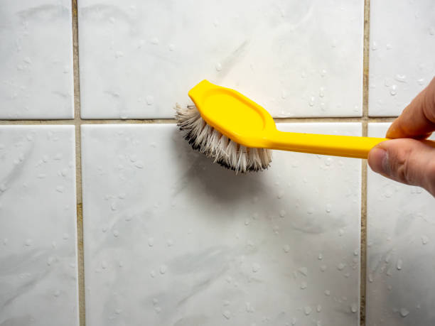 Best Mold Removal Company Near Me  in Atlantic Highlands, NJ