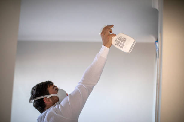 Best Mold Remediation Experts  in Atlantic Highlands, NJ