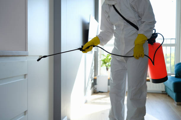 Best Toxic Mold Removal  in Atlantic Highlands, NJ