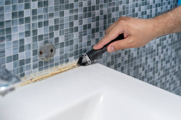 Trusted Atlantic Highlands, NJ Mold Removal Experts