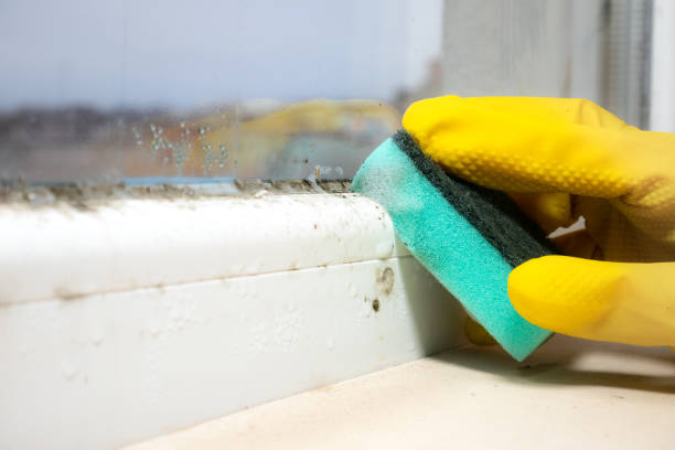 Best Mold Testing  in Atlantic Highlands, NJ